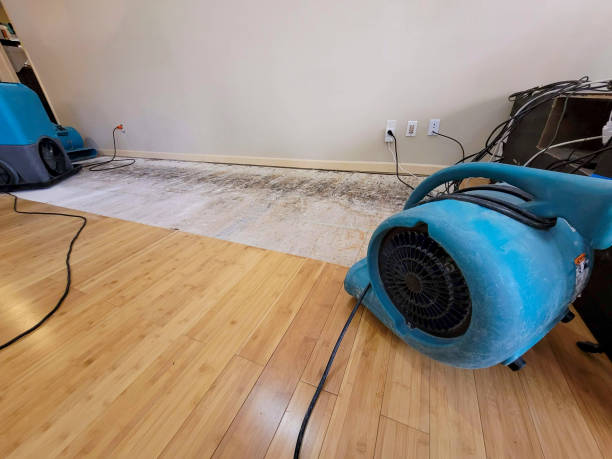 Professional Burst Pipe Water Damage technician working in Lisle, IL